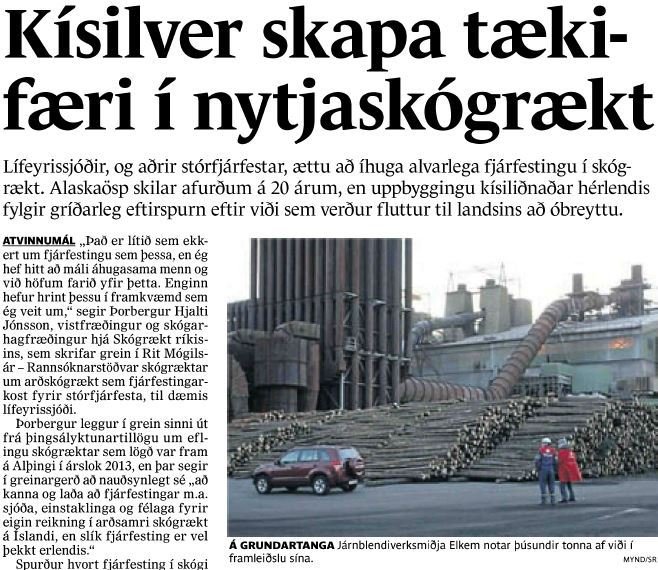Kísilver skapa tækifæri í nytjaskógrækt
