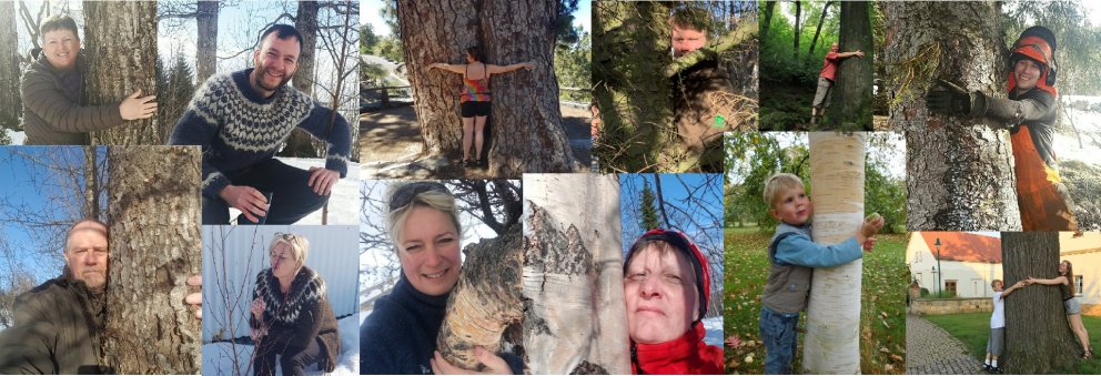 Knúsum tré - gott ráð við veirunni