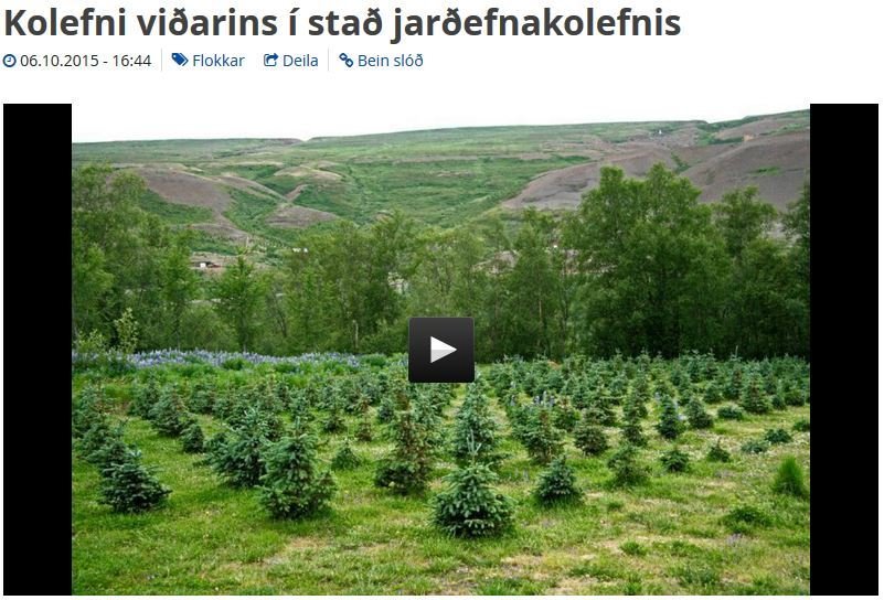 Kolefni viðarins í stað jarðefnakolefnis