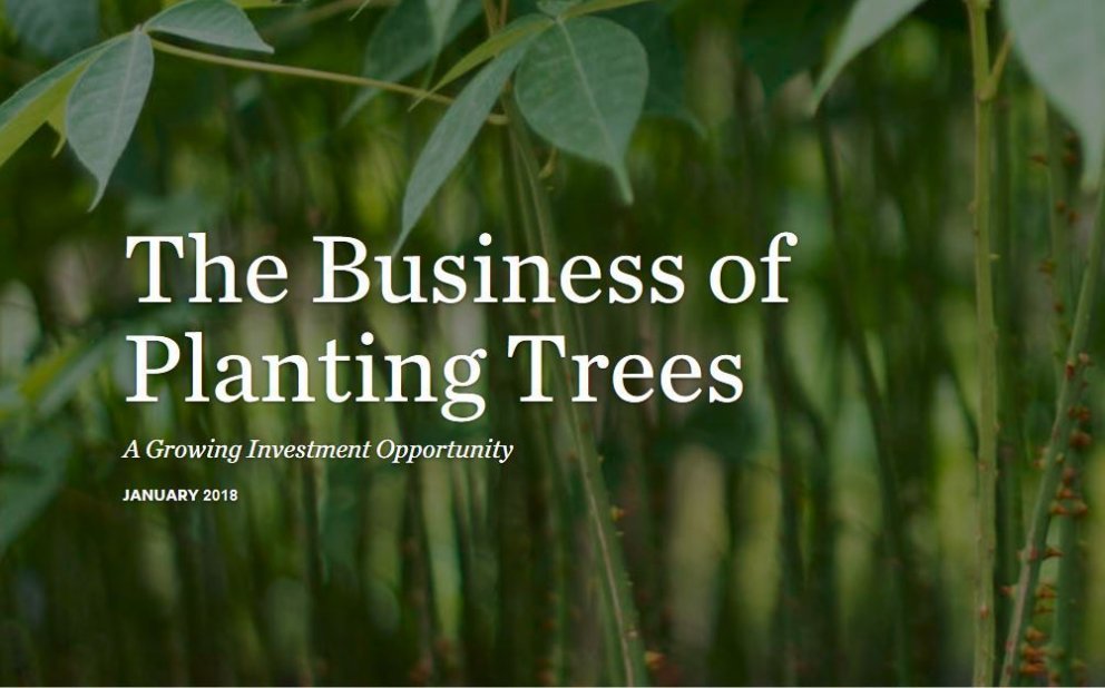 Landbætur um allan heim spennandi fjárfestingartækifæri