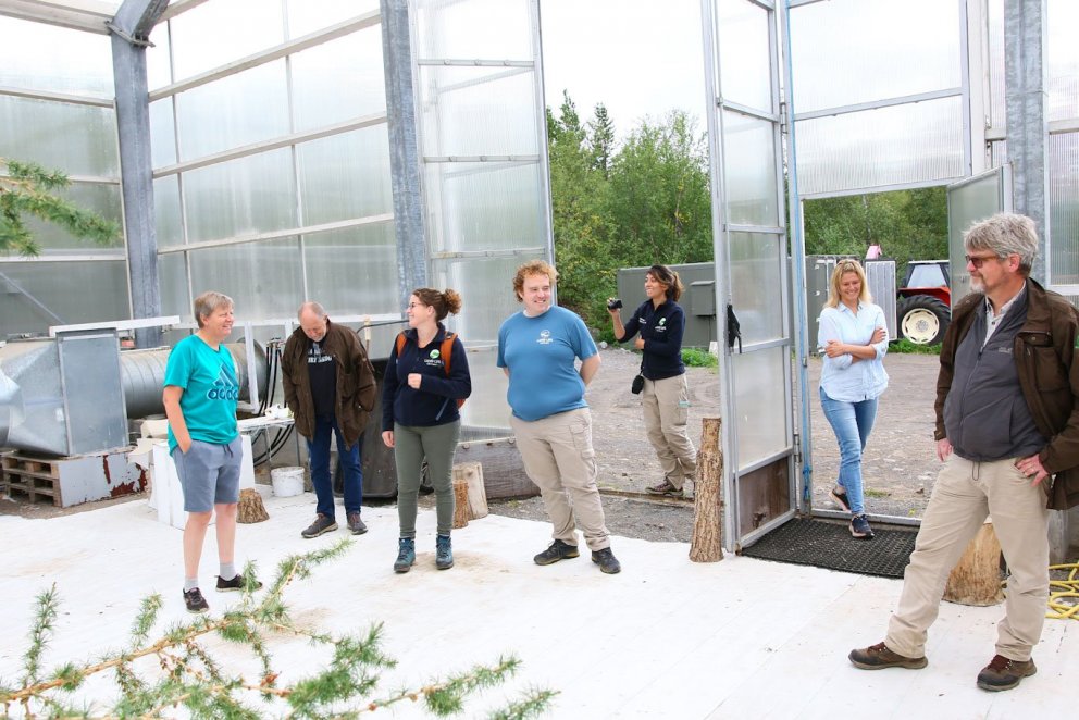 Litið inn í Fræhúsið á Vöglum í Fnjóskadal þar sem fer fram fræframleiðsla á lerkiblendingnum Hrym o…