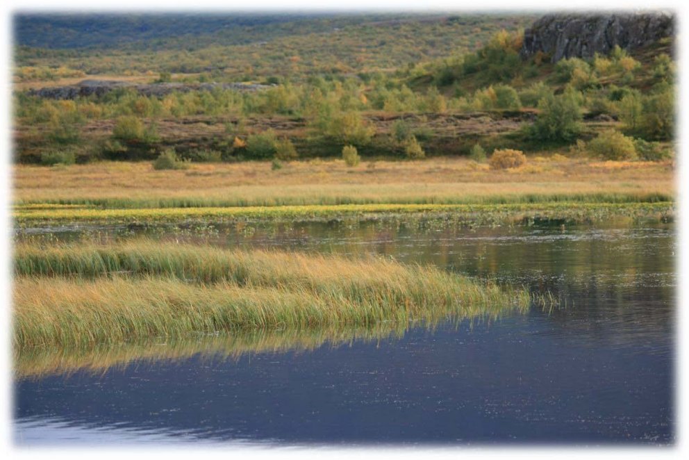 Mynd: Þröstur Eysteinsson