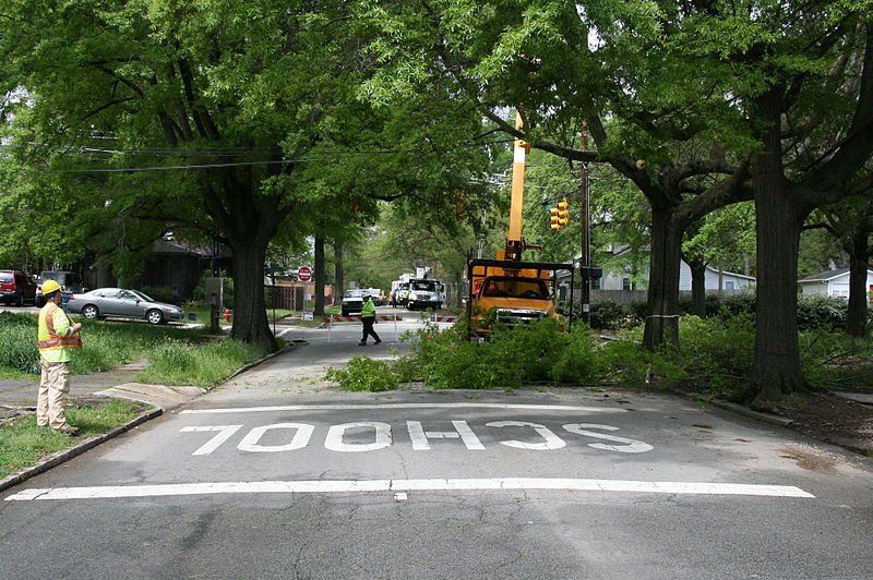 Látum trén&nbsp;hreinsa loftið