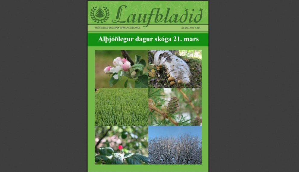 Skógrækt eitt af því sem við getum gert - Laufblaðið komið út