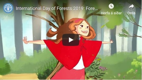 Lærið að unna skógum