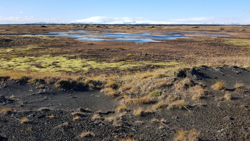Uppgræðslusvæðin á Leiðvelli í Meðallandi voru skoðuð í vikunni og verða væntanlega meðal þeirra svæ…