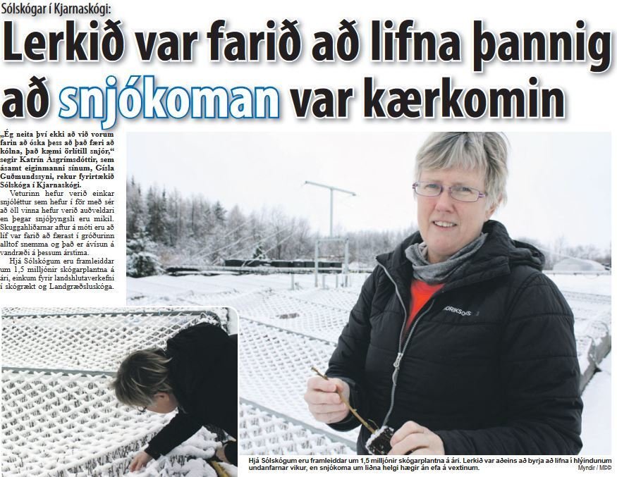 Lerkið var farið að lifna