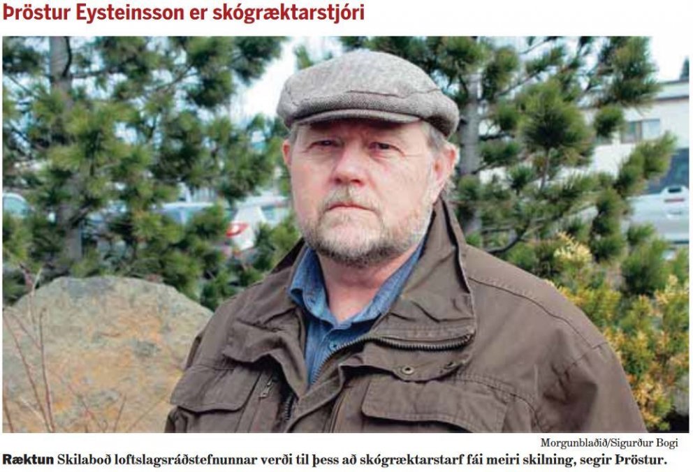 Lífræn innistæða þarf viðhald og nýtingu