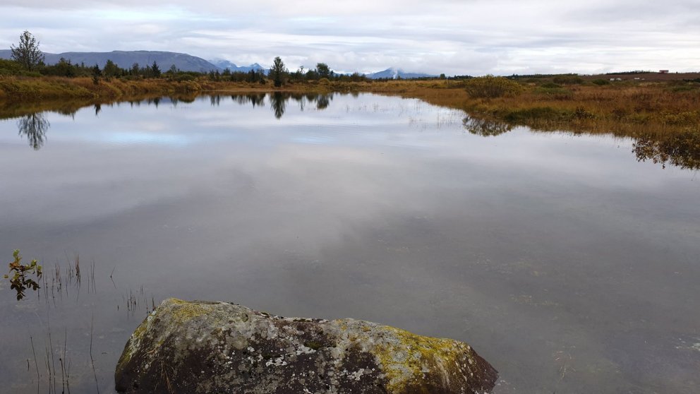 Líkatjörn komin aftur í landi Mosfells í Grímsnesi. Ljósmynd: Trausti Jóhannsson