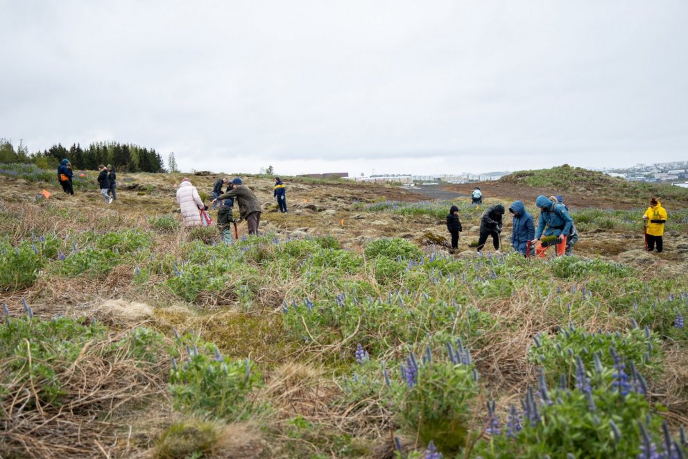 Frá gróðursetningardegi í Loftslagsskógi Reykjavíkur. Ljósmynd: Skógræktarfélag Reykjavíkur