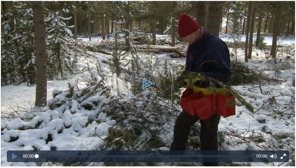 Daníelslundur í Landanum