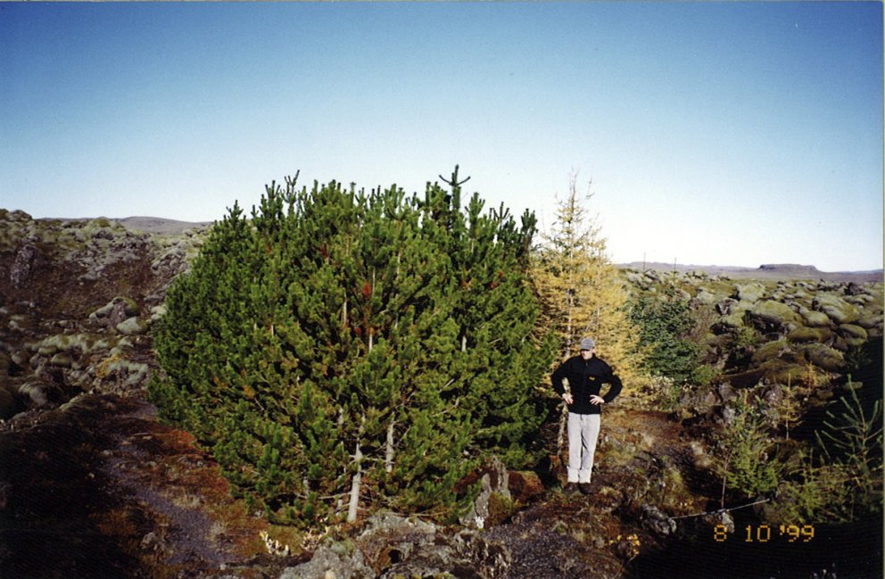 Lundur Dalbæjarbóndans í Eldhrauni haustið 1999.