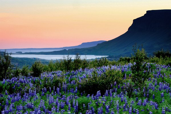 Brynja Hrafnkelsdóttir SR