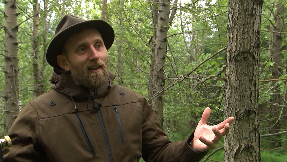 Björn Traustason útskýrir tilganginn með reglubundnum mælingum á um 300 mælireitum um allt land. Skj…