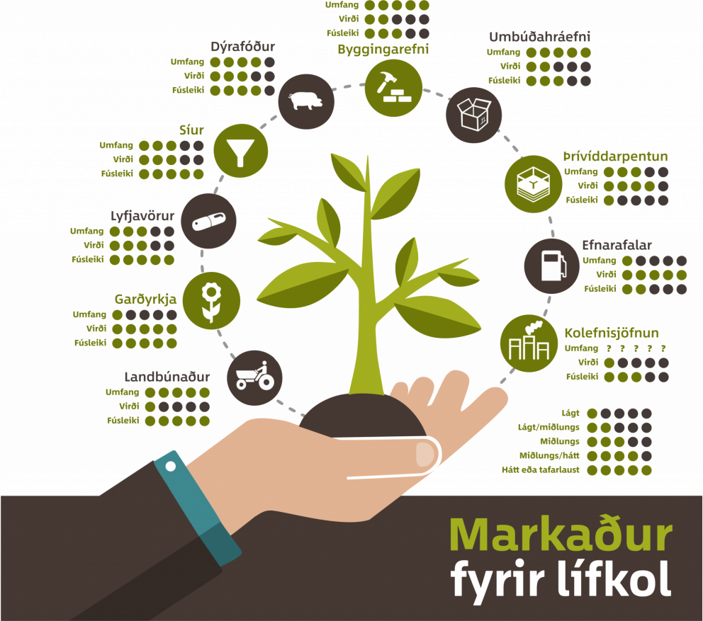 Ýmiss konar markaður er fyrir lífkol eins og sést á þessari mynd. Nánari upptalningar má sjá í töflu…