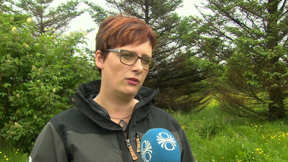 Edda Sigurdís Oddsdóttir, sviðstjóri rannsóknasviðs Skógræktarinnar.