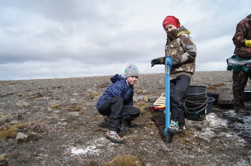 Verkefni sem felast í útbreiðslu birkis eða annars trjágróðurs á stórum, samfelldum svæðum fellur ve…