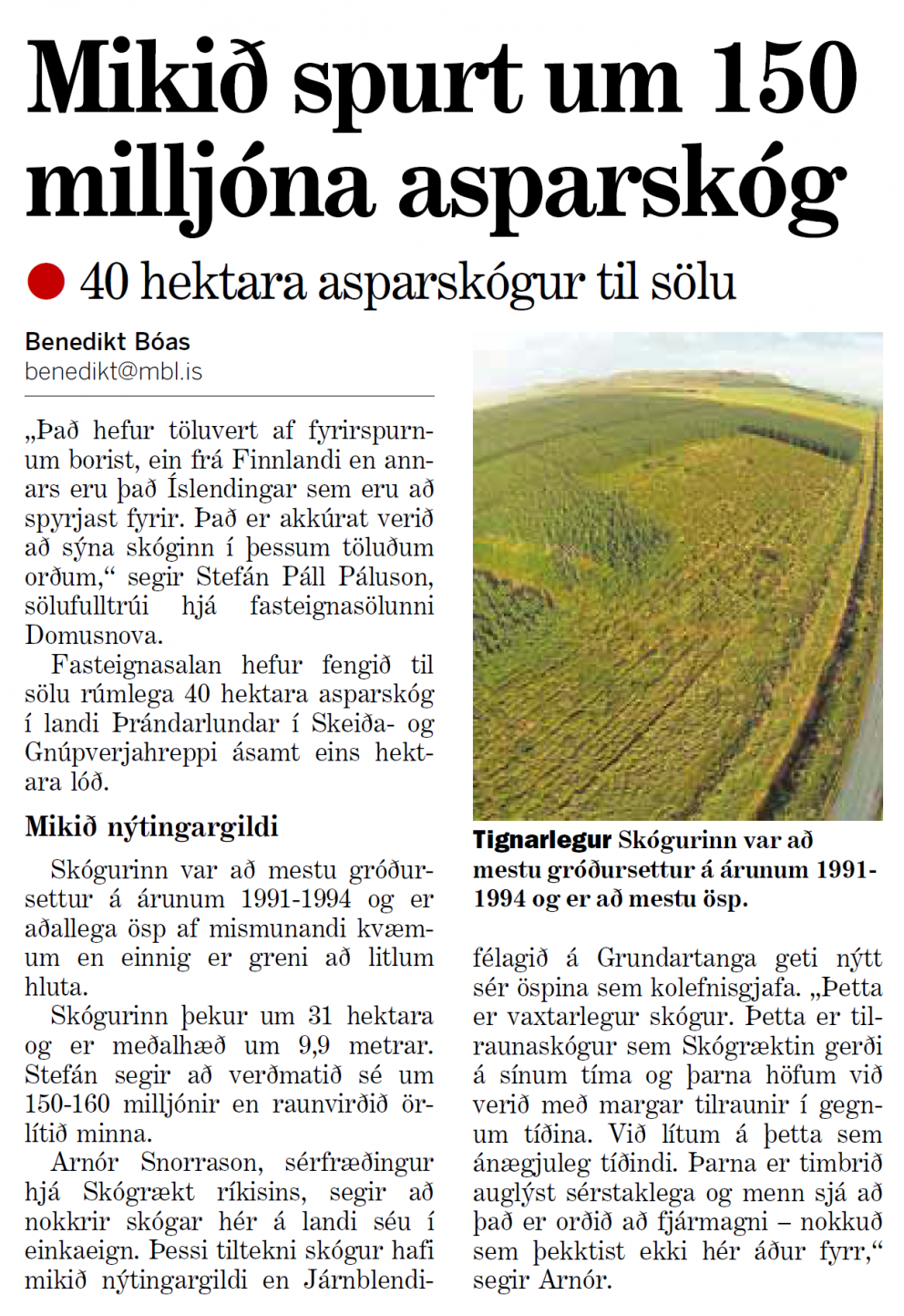 Mikið spurt um asparskóg sem er til sölu