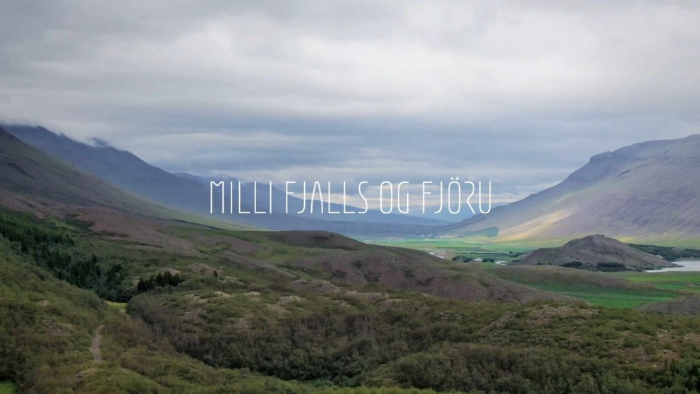 Skjámynd úr stiklu kvikmyndarinnar