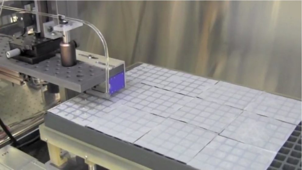 Miklir möguleikar felast í því að fjölfalda skógarplöntur úr einni og sömu okfrumunni, ekki síst í j…