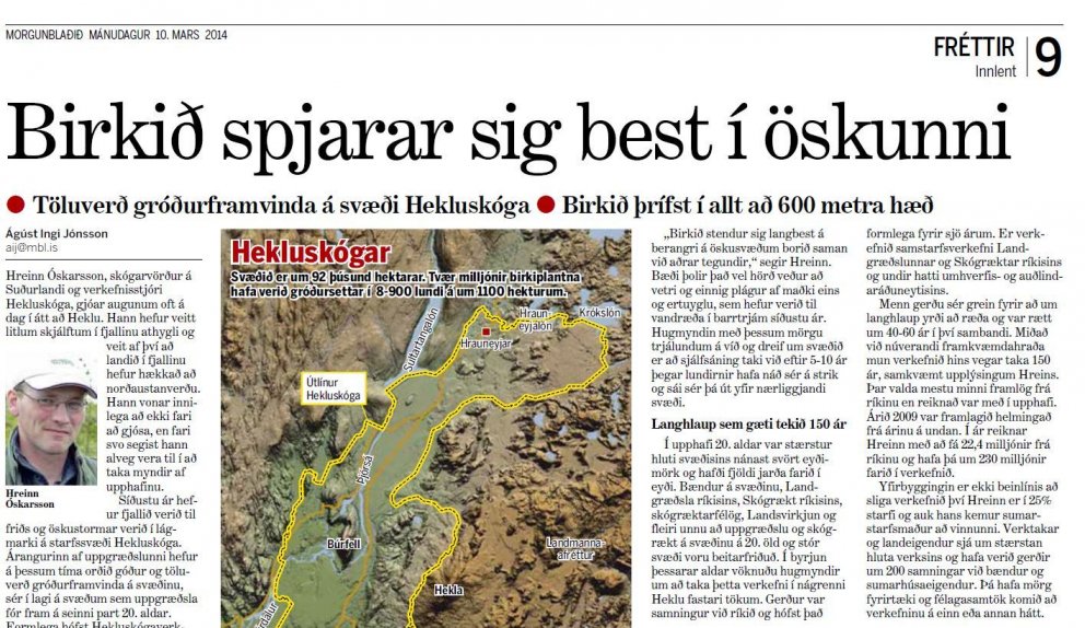 Töluverð gróðurframvinda í Hekluskógum