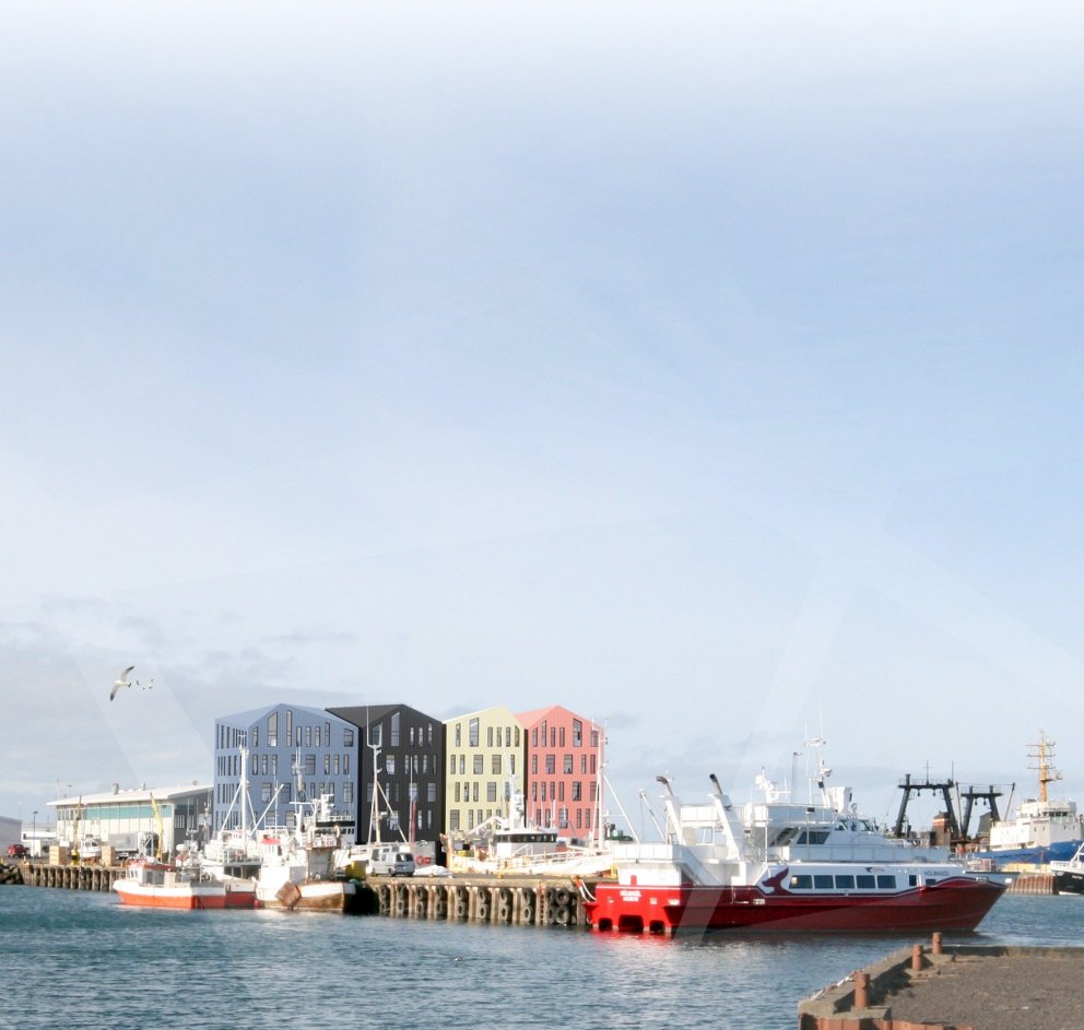 Allt útlit er fyrir að timburbyggingar muni rísa í vaxandi mæli á Íslandi á komandi árum eins og víð…