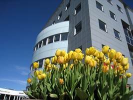 Skógræktarstarf auglýst