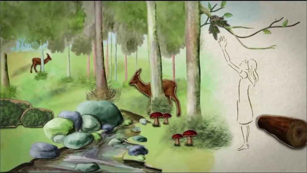 Alþjóðlegur dagur skóga er í dag