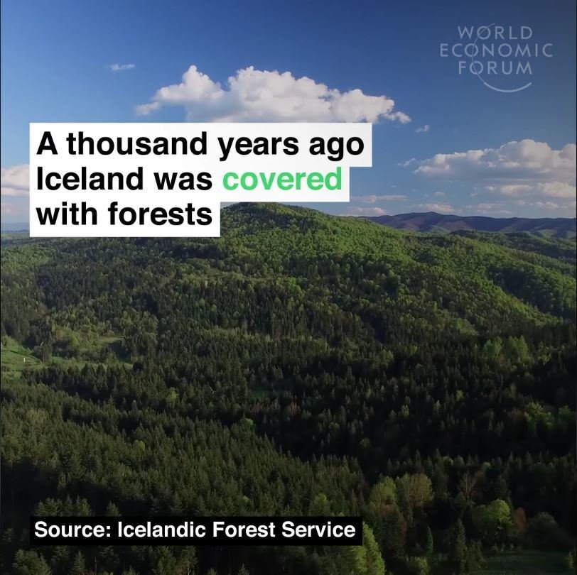 Myndband World Economic Forum um skógrækt á Íslandi