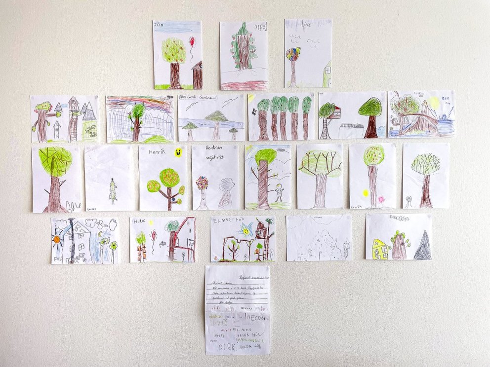 Börnin í yngstu bekkjum Reykjahlíðarskóla létu ekki nægja að safna birkifræi og senda Skógræktinni h…