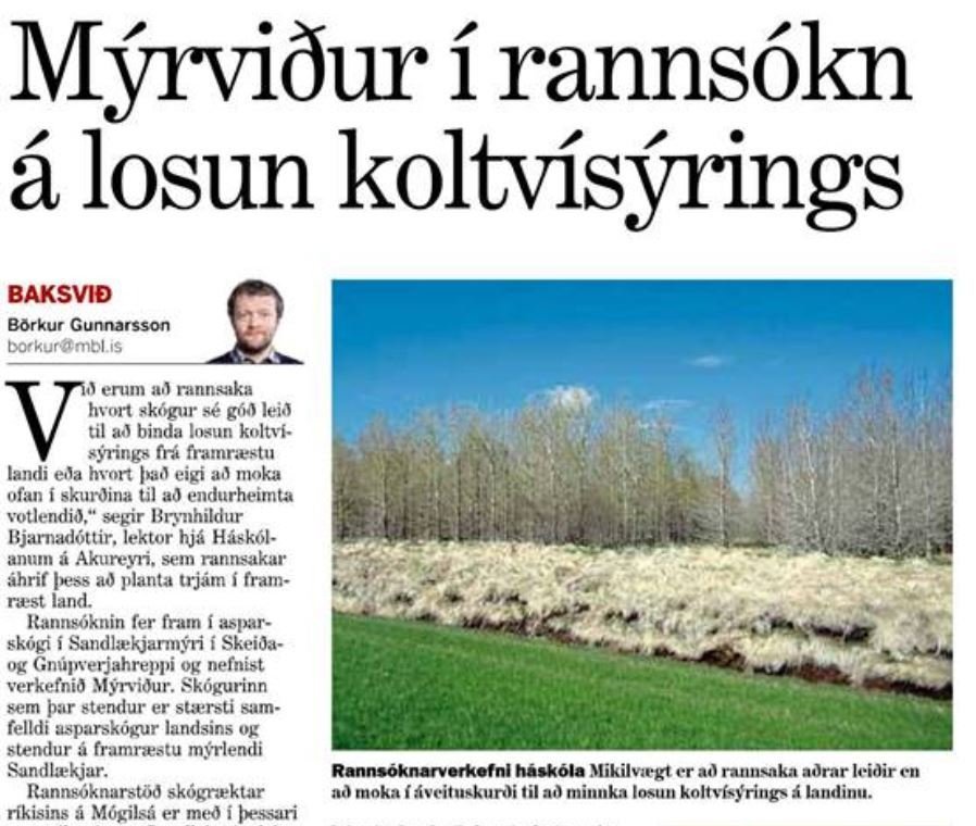 Að rækta skóg í stað þess að fylla skurði