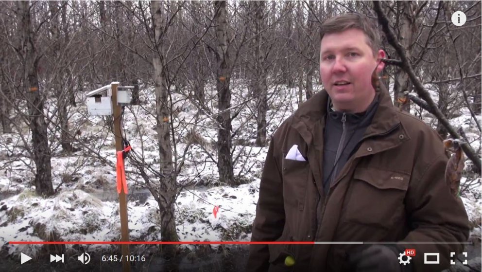 Skjáskot úr myndbandinu. Bjarki Þór Kjartansson við mælitæki í asparskóginum í Sandlækjarmýri.
