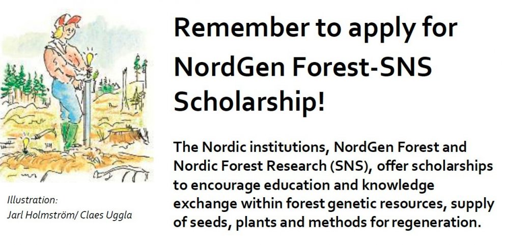 Námsstyrkir NordGen Forest og SNS