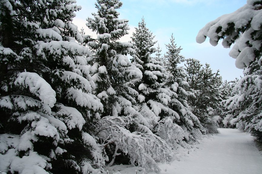 (mynd: Þröstur Eysteinsson)