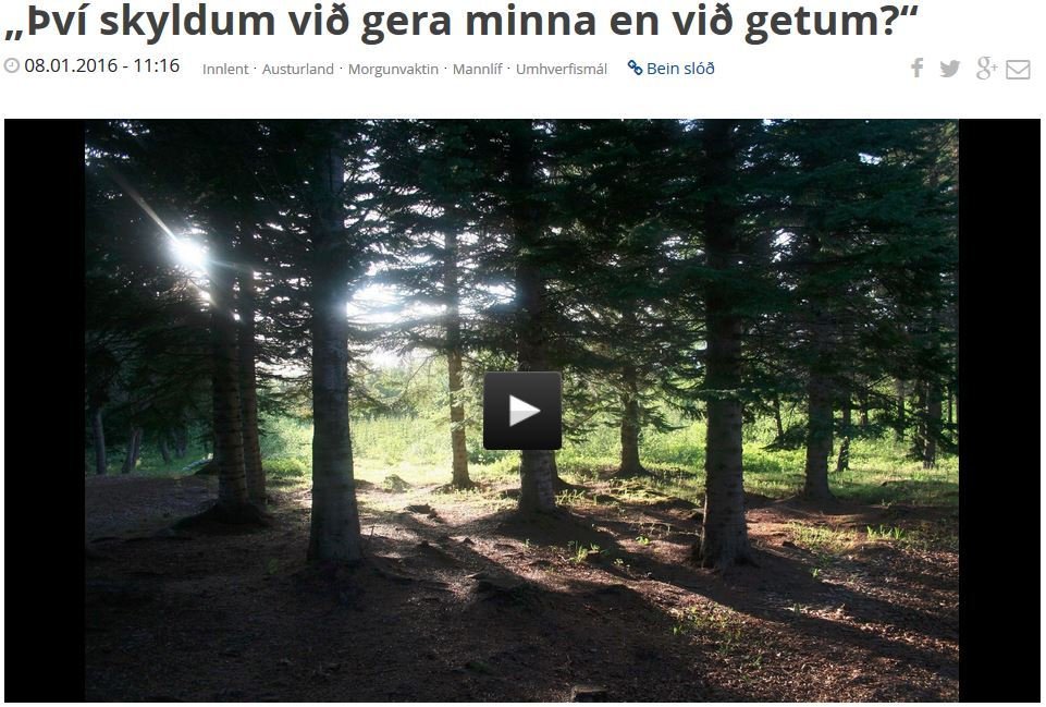 Nýr skógræktarstjóri leggur áherslu á að auka aftur gróðursetningu