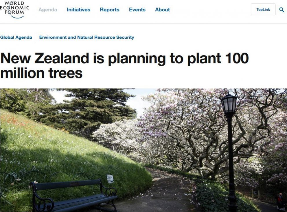 Nýsjálendingar vilja gróðursetja 100 milljónir trjáa árlega