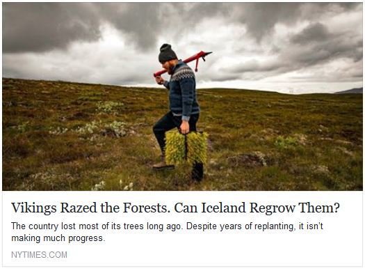 Á baksíðu New York Times birtist mynd af Jóni Ásgeiri Jónssyni, skógfræðingi hjá Skógræktarfélagi Ís…