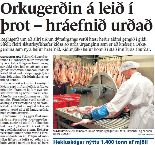 Ekkert kjötmjöl til Hekluskóga meir?