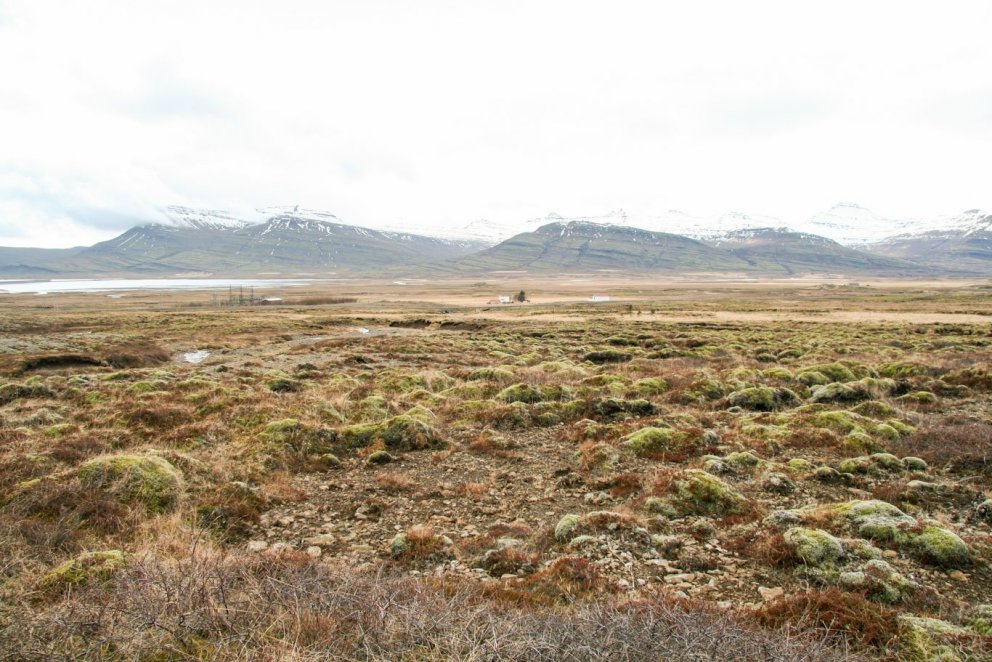 Mjög rýrt og illa farið land í Breiðdal breytist brátt í gjöfulan skóg sem bindur kolefni fyrir tils…