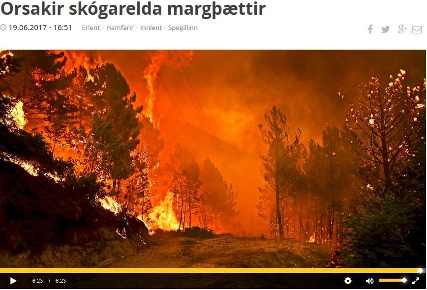 Fjallað var um skógarelda í Speglinum á Rás 1 og rætt við Aðalstein Sigurgeirsson, fagmálastjóra Skó…