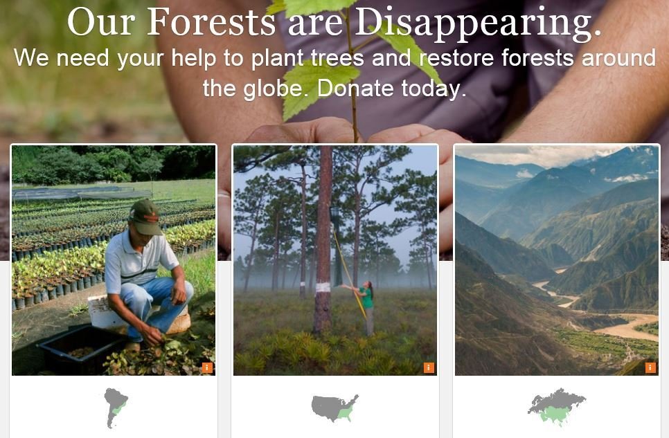 Plöntum trjám á degi jarðar