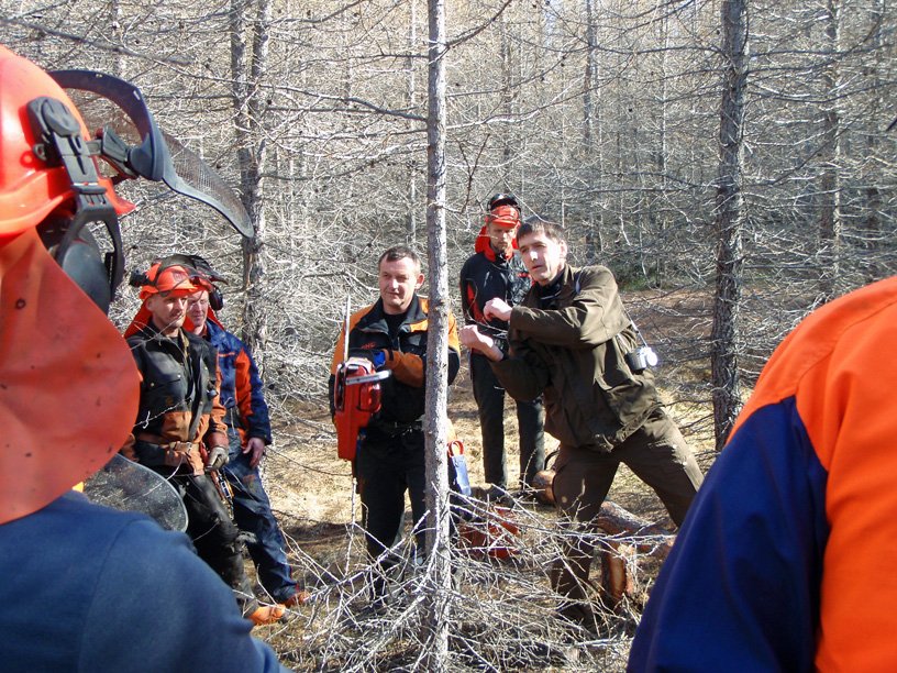 Að meðaltali 81 starf frá aldamótum