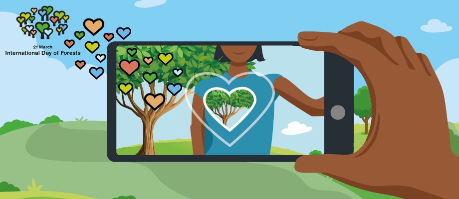 Taktu mynd af tré sem gefur lífi þínu gildi og stuðlar að velsæld þinni