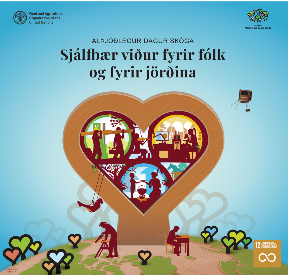 Sjálfbær framleiðsla og neysla á alþjóðadegi skóga – nýtt myndband