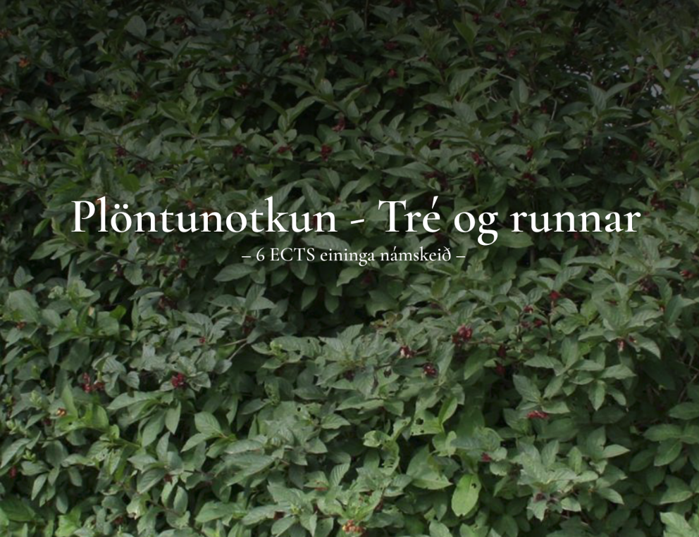 Námskeið um notkun trjáa og runna