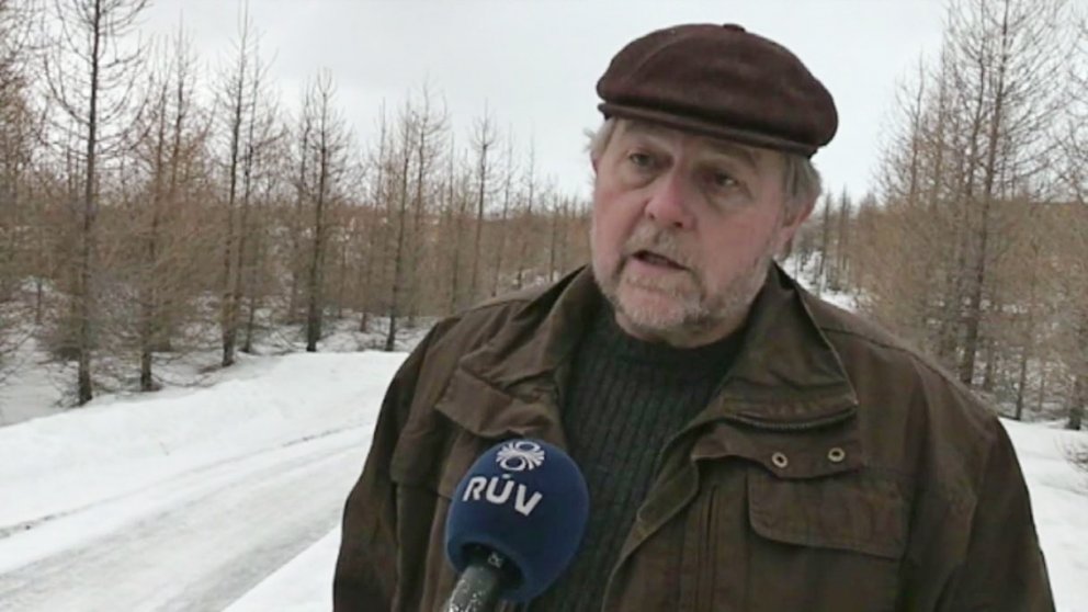 „Auðvitað viljum við hjá Skógræktinni efla og auka skógrækt en það er ekkert sem að bendir til þess …
