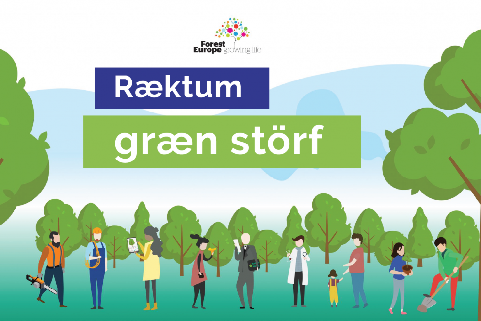 Búðu til stutt skógarmyndband á Instagram