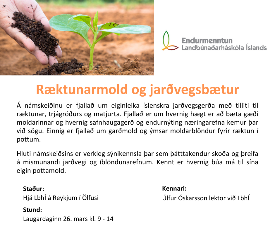 Viltu vita meira um mold?