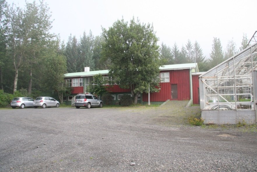 Staða sviðstjóra rannsóknasviðs Skógræktarinnar laus til umsóknar