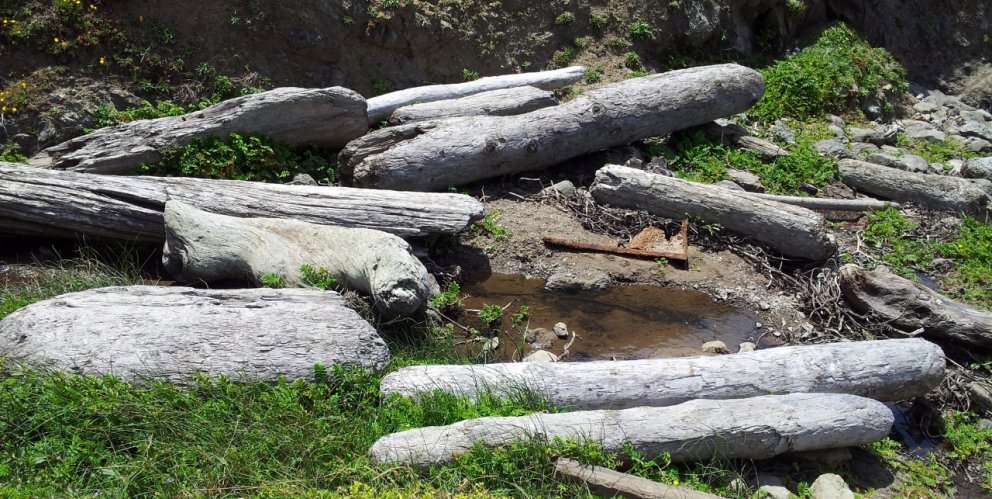 Rekaviður var um aldir dýrmæt auðlind í löndunum kringum norðurskautið og er að einhverju leyti enn.…
